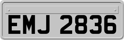 EMJ2836