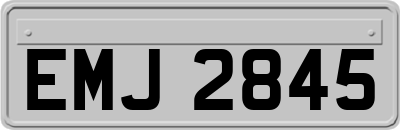 EMJ2845
