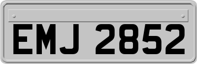 EMJ2852