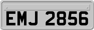 EMJ2856