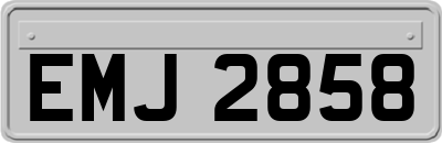 EMJ2858
