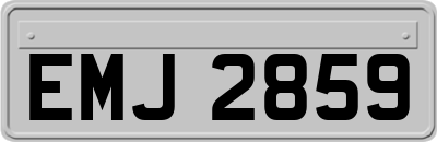 EMJ2859