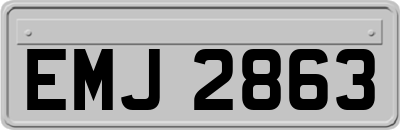 EMJ2863