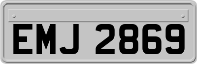 EMJ2869