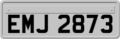 EMJ2873
