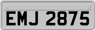 EMJ2875