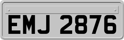 EMJ2876