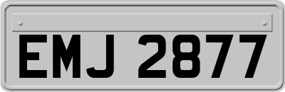 EMJ2877