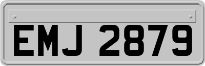 EMJ2879