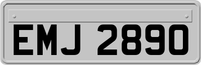 EMJ2890