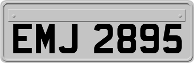 EMJ2895