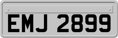 EMJ2899