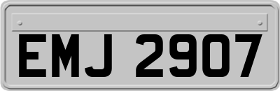 EMJ2907