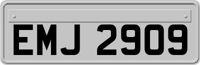 EMJ2909
