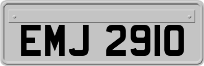 EMJ2910
