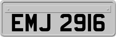 EMJ2916