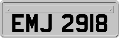 EMJ2918