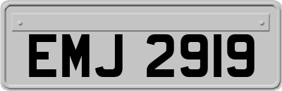 EMJ2919