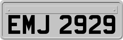 EMJ2929