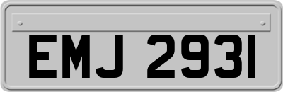 EMJ2931