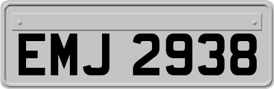 EMJ2938