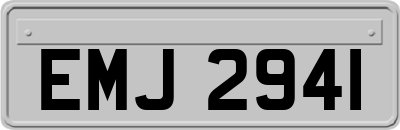 EMJ2941