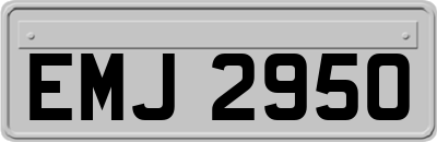 EMJ2950