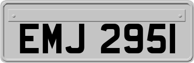 EMJ2951