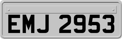 EMJ2953