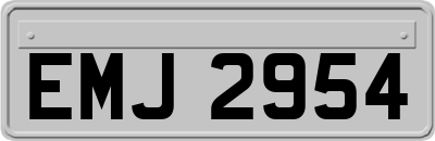 EMJ2954