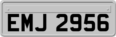 EMJ2956