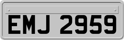 EMJ2959
