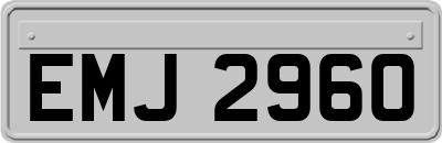 EMJ2960