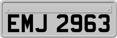 EMJ2963