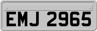 EMJ2965