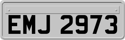 EMJ2973