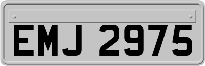 EMJ2975
