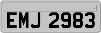 EMJ2983
