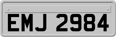 EMJ2984