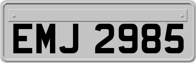 EMJ2985