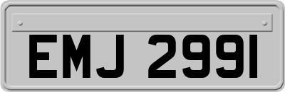 EMJ2991