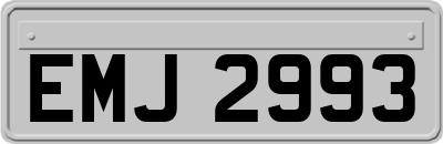 EMJ2993
