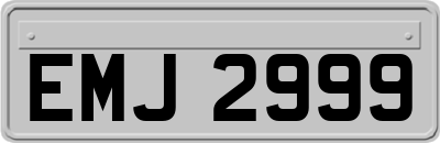 EMJ2999