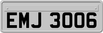EMJ3006