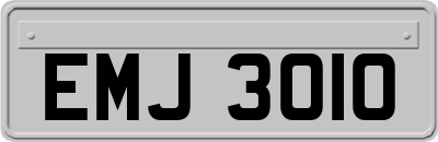 EMJ3010