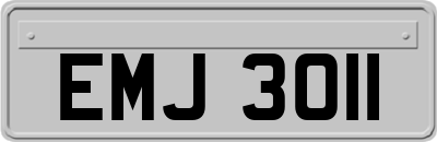 EMJ3011