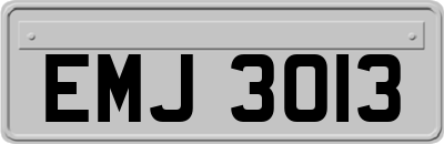 EMJ3013