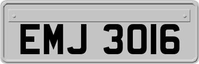 EMJ3016