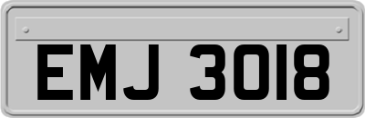 EMJ3018