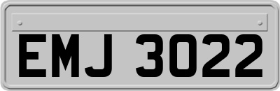 EMJ3022